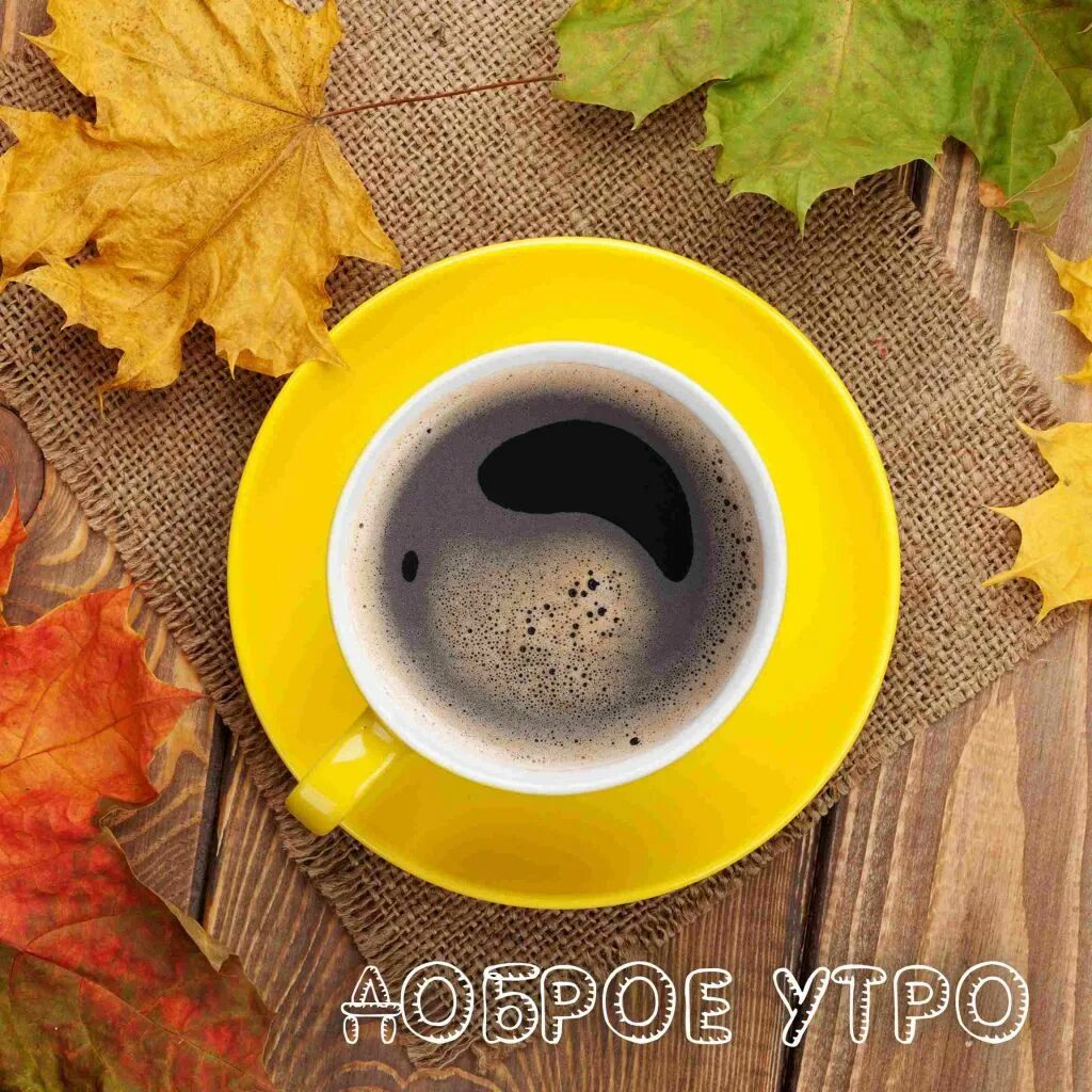 Пятничного осеннего утра и отличного настроения. Картинки с добрым утром осенние. Осенний кофе. Чашка кофе осень