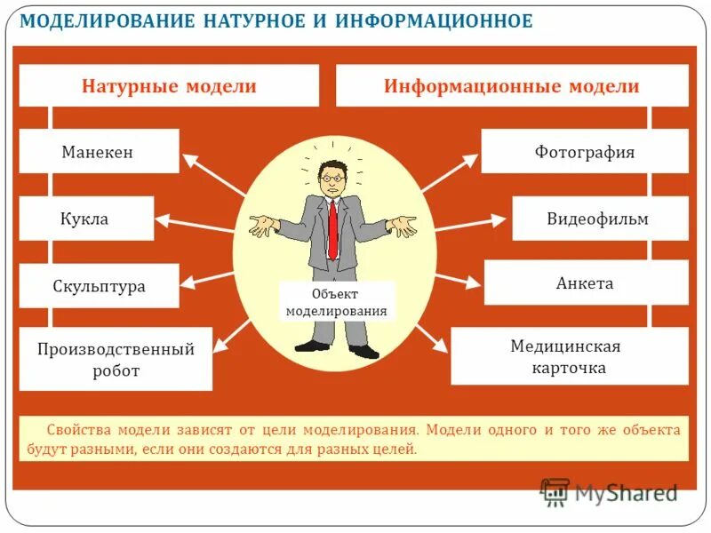 Человек информационная модель