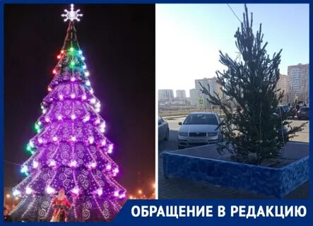 Имя для ели