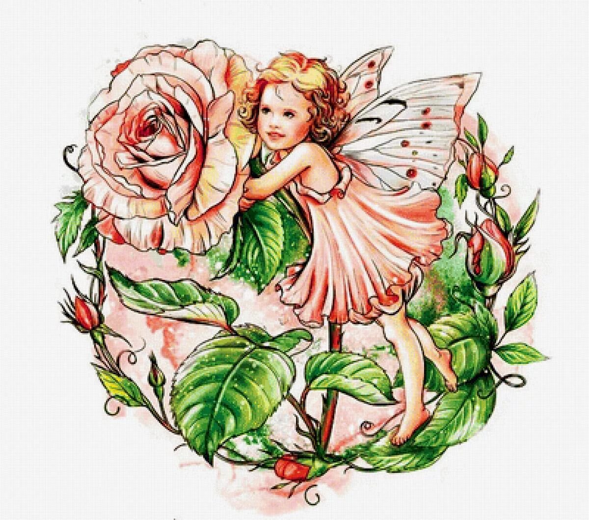 Color fairy