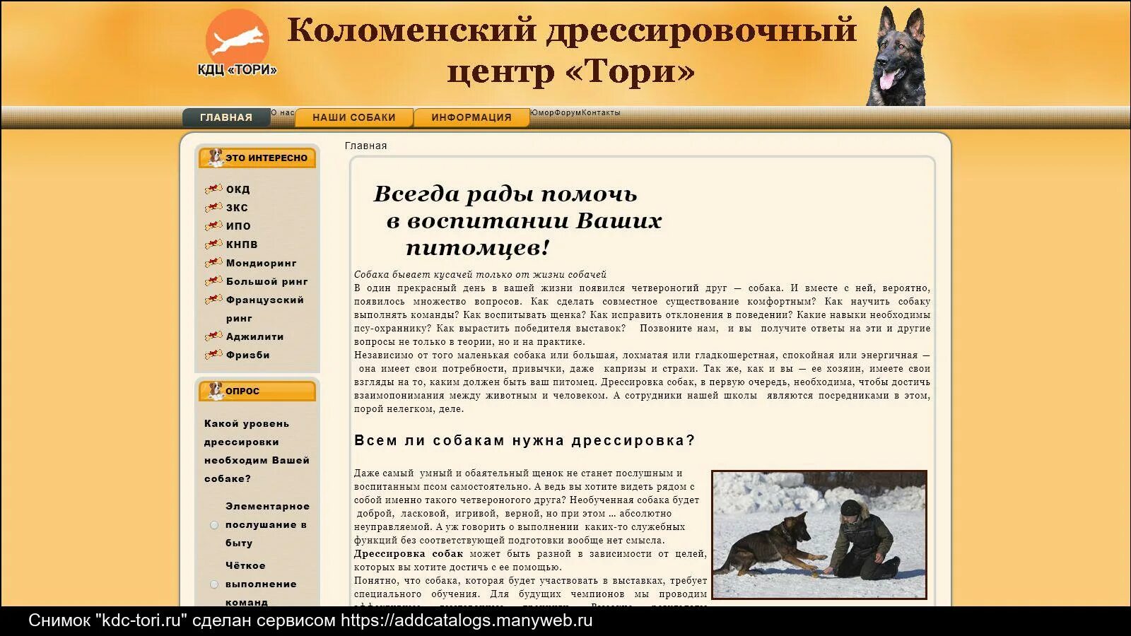 Тори коломна. Собака компаньон не бегающая. Кдц тори коломна дрессировочный центр. Тори коломна. Клиника тори москва.