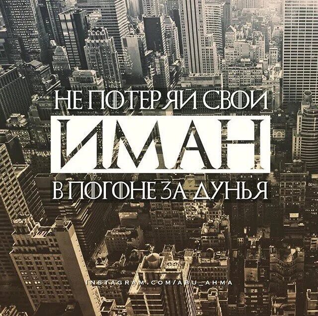 Ничтожная дунья. Дунья картинки. Это дунья временно. Проклятая дунья. Временная дунья цитаты.