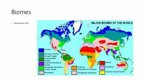 La biome