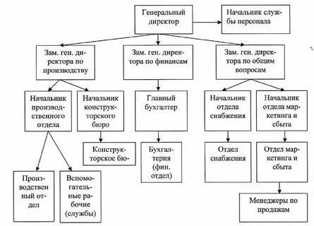 1 общая характеристика предприятия организации