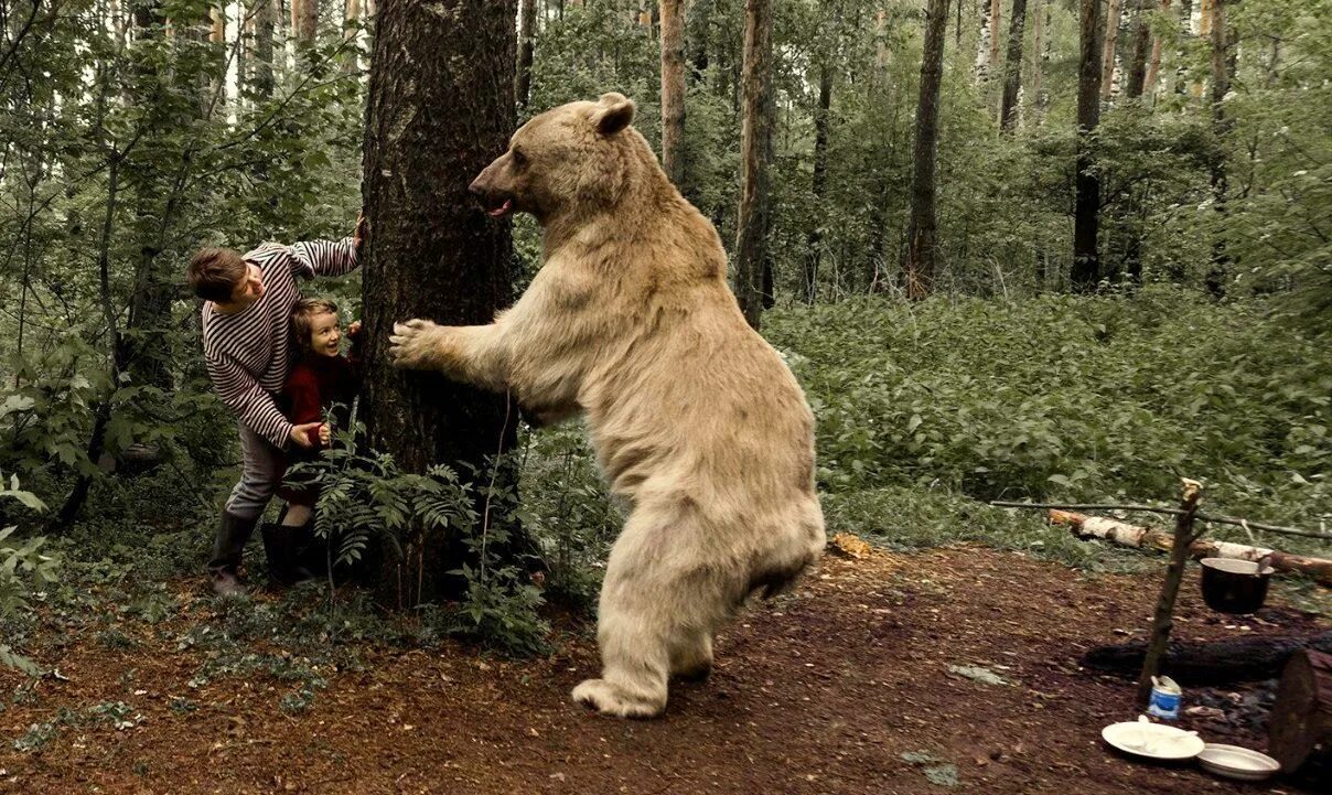 Охотник живущий в лесу. Таежники сибирские охотники. Охотник возле дерева. Охотники промысловики в тайге. Дрессировщики пантелеенко, медведь степан.