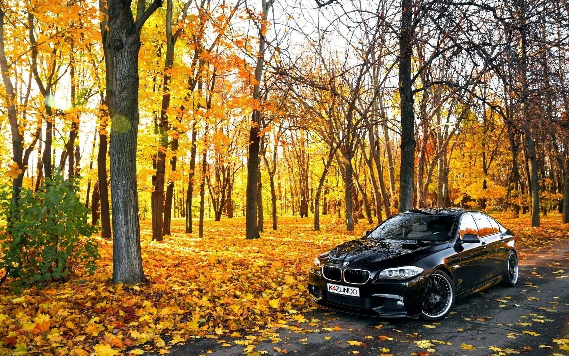 Капот в лесу. БМВ м5 осень. BMW m5 осень. БМВ М 5 В листьях. BMW e53 осень.