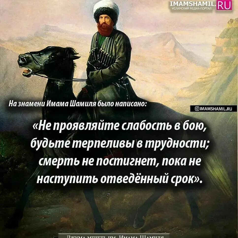 Изречения имама шамиля. Шамиль герой кавказской войны. Стих про имама. Стих про имама. Имам шамиль факты.