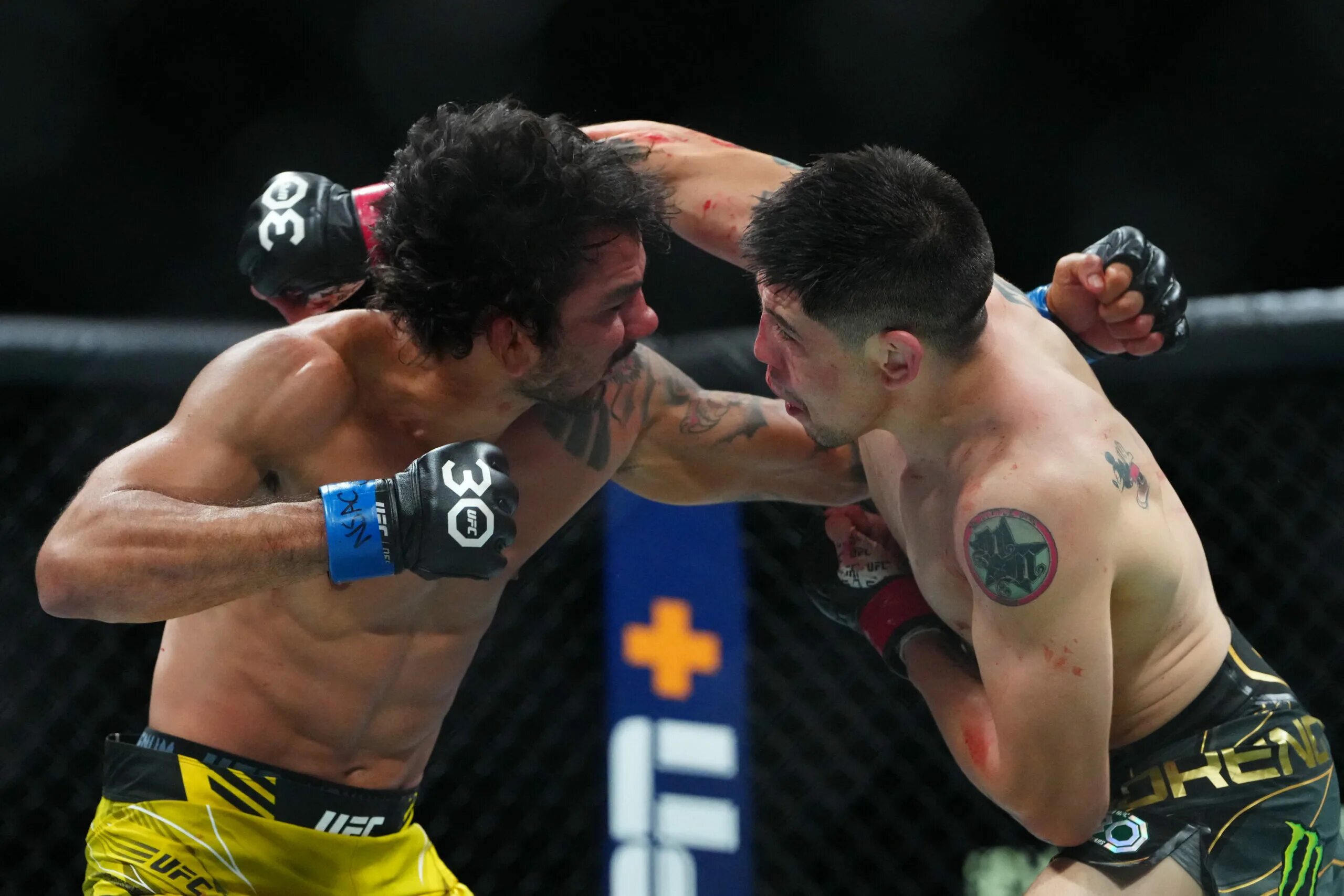 Ройвал ufc. Морено пантожа ufc 290. брендон морено.