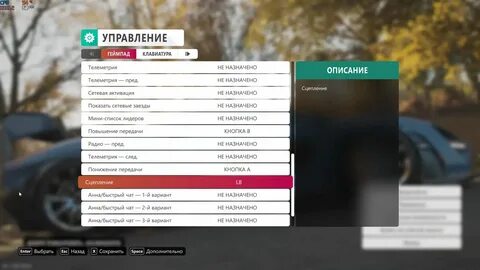 Чит на форзу 5