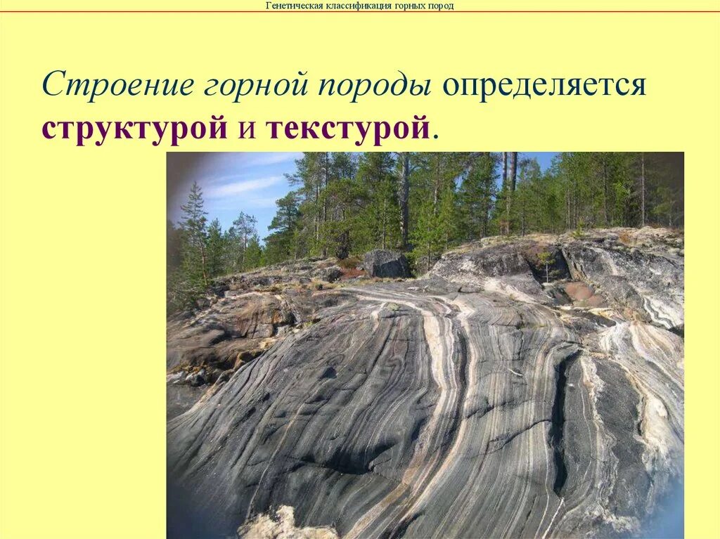 Где происходит смещение горных пород. Гнейс форма залегания. Формы залегания метаморфических пород. Гнейс метаморфическая Горная порода. Метаморфические горные породы залегают.