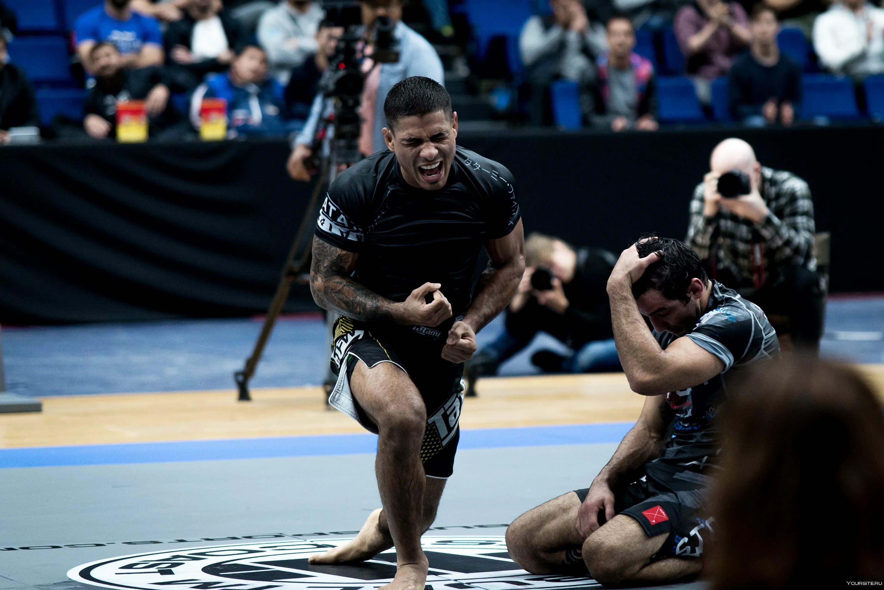 Область грепплинг. ADCC. Грэпплингу ADCC. ADCC 2022. ADCC чемпионы.