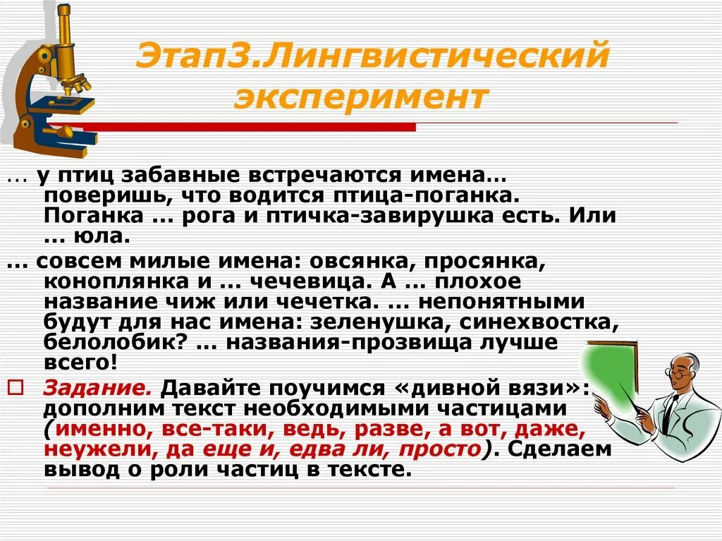 Даже у птиц забавные встречаются имена. У птиц забавные встречаются имена. У птиц встречаются забавные имена поверишь. Лингвистический эксперимент примеры. Лингвистический эксперимент в начальной школе.