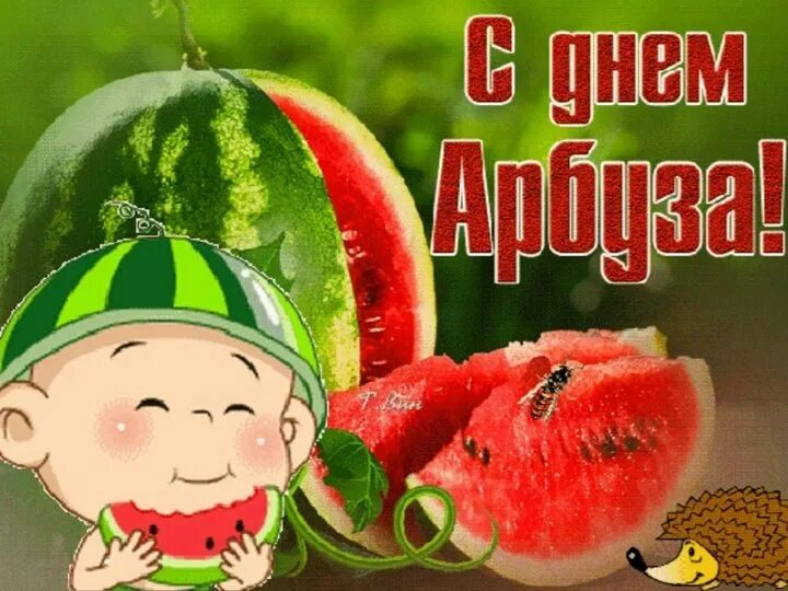 Когда будет день арбуза. День арбуза праздник. Когда будет день арбуза. Когда будет день арбуза. День арбуза 3 августа.