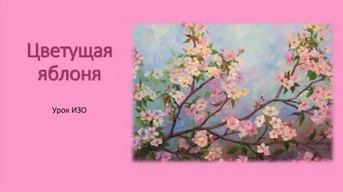 Уроки май