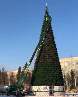 Сколько елок