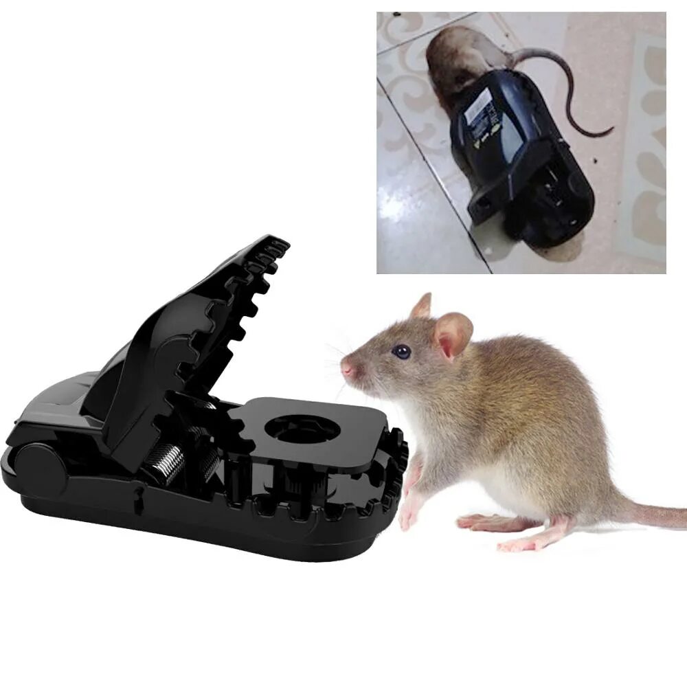 Мышь control. Мыши вредители. Домашние вредители мыши. Фигурка мышки ЛОВУШКА-тренажер. Fast Mouse.