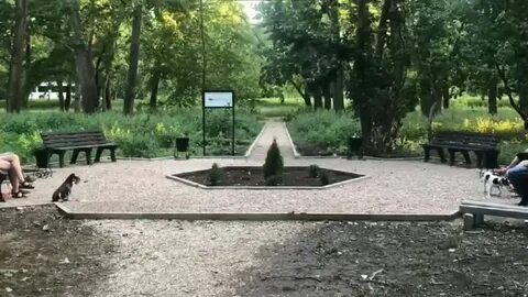 В сквере возле дома было так тихо