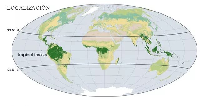 Экваториальные и тропические леса на карте. Тропики на карте.