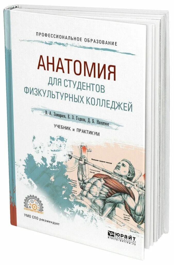анатомия учебник для колледжей. анатомия и физиология смольянникова фалина сагун. анатомия учебник для колледжей. атлас анатомия человека сапин брыксина. анатомия человека учебник.