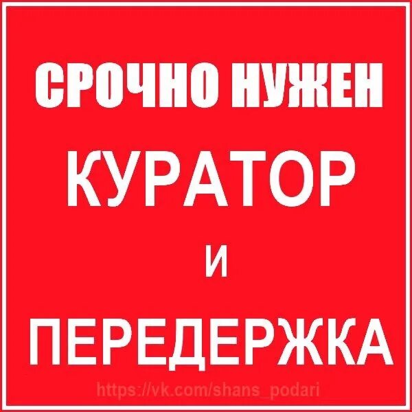 Срочно нужен перевод. Срочно нужен куратор и передержка. срочно нужен куратор. ищем куратора и передержку срочно. срочно нужна передержка.