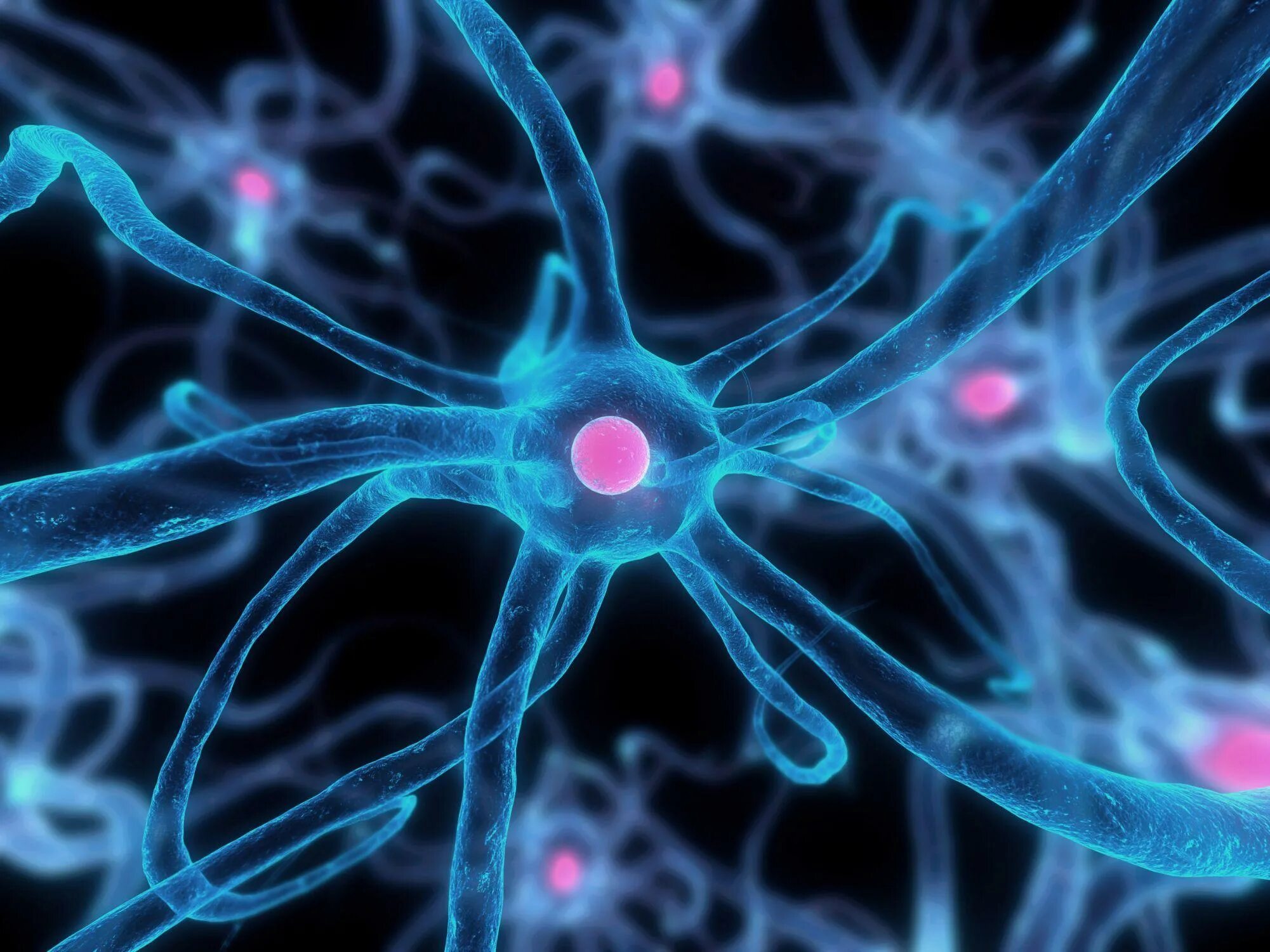 Cell image