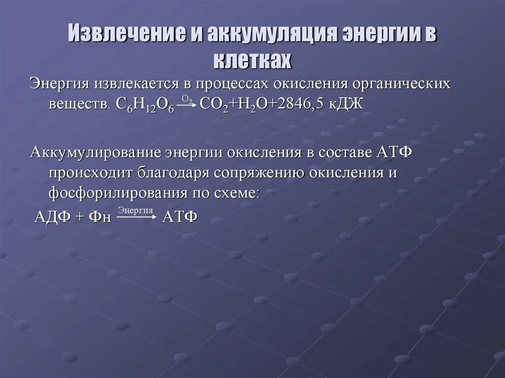 Процесс биологического окисления. Аккумуляция энергии. Способы получения энергии клеткой.