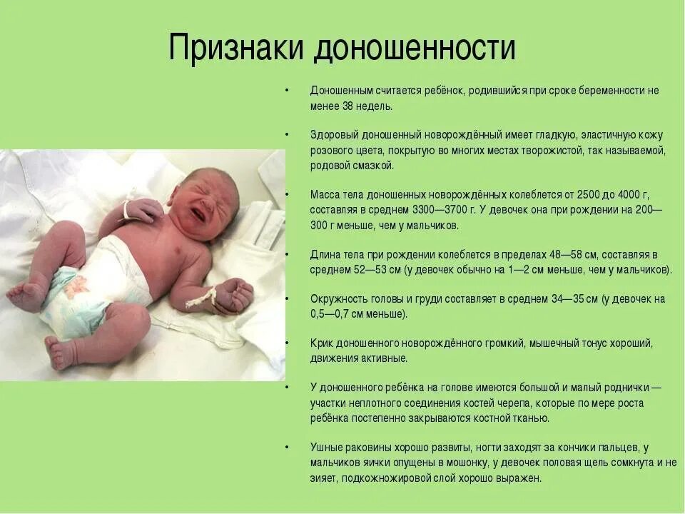 38 неделя беременности малыш и мама. Доношенный ребенок сроки рождения. вес ребёнка в 37 недель беременности. доношенный новорожденный срок. с какой недели ребенок считается доношенным.