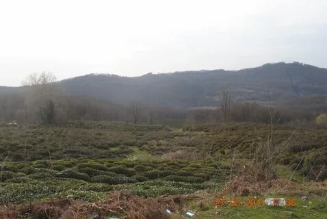 Село калиновое озеро сочи слоны