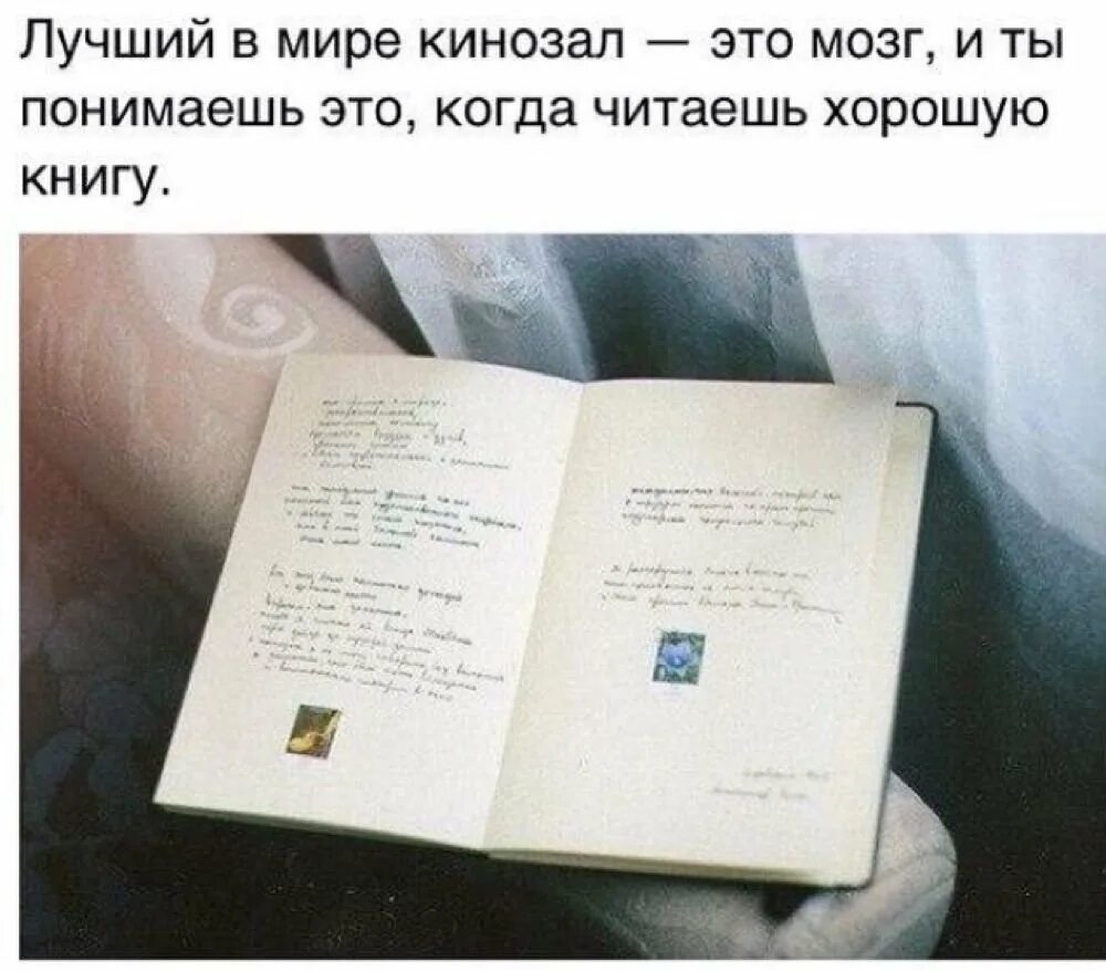 Книга была прочитана на английском. Цитаты про книги. Интересные фразы из книг. Фразы про книги. Афоризмы из книг.