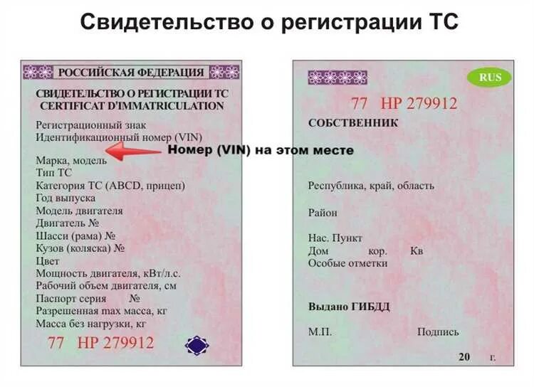 Тип стс. Свидетельство о регистрации транспортного средства пример. стс свидетельство о регистрации транспортного средства. cdbltntkmcndj j htubcnhfwbb nhfycgjhnyjuj chtlcndf. свидетельство транспортного средства образец.