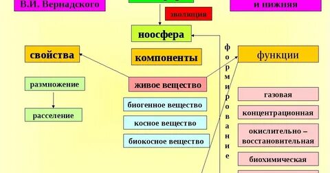 Структура биосферы 9 класс конспект