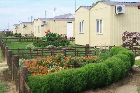Дорожник голубицкая отдых
