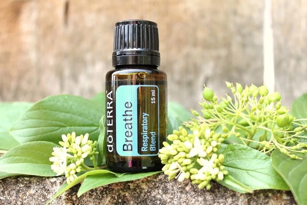 Бриз дотерра состав. Ветивер doterra. эфирное масло бриз дотерра. масло ветивер дотерра. смесь бриз дотерра.