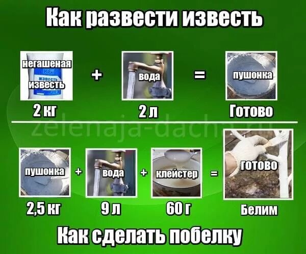 Как разводить гашеную известь для побелки деревьев. Как развести негашеную известь. Известь Негашеная для побелки деревьев. Как развести негашеную известь для побелки. Как развести негашеную известь для побелки деревьев.