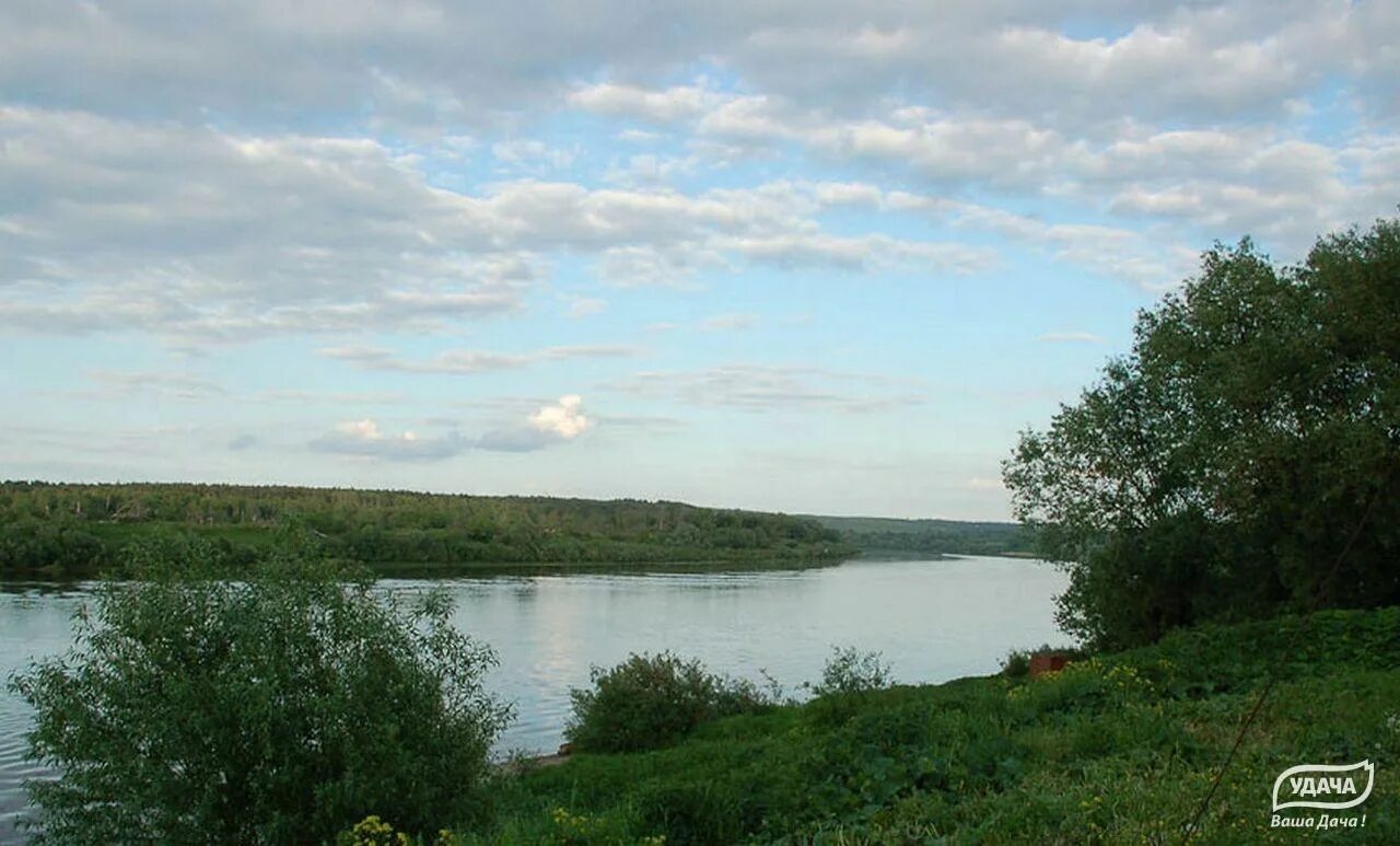 Река Ока поселок дачный. Левшино коттеджный поселок на Оке. Коттеджный поселок Левшино Тарусский район на р Оке внутри поселка. Симферопольское шоссе р.Ока.