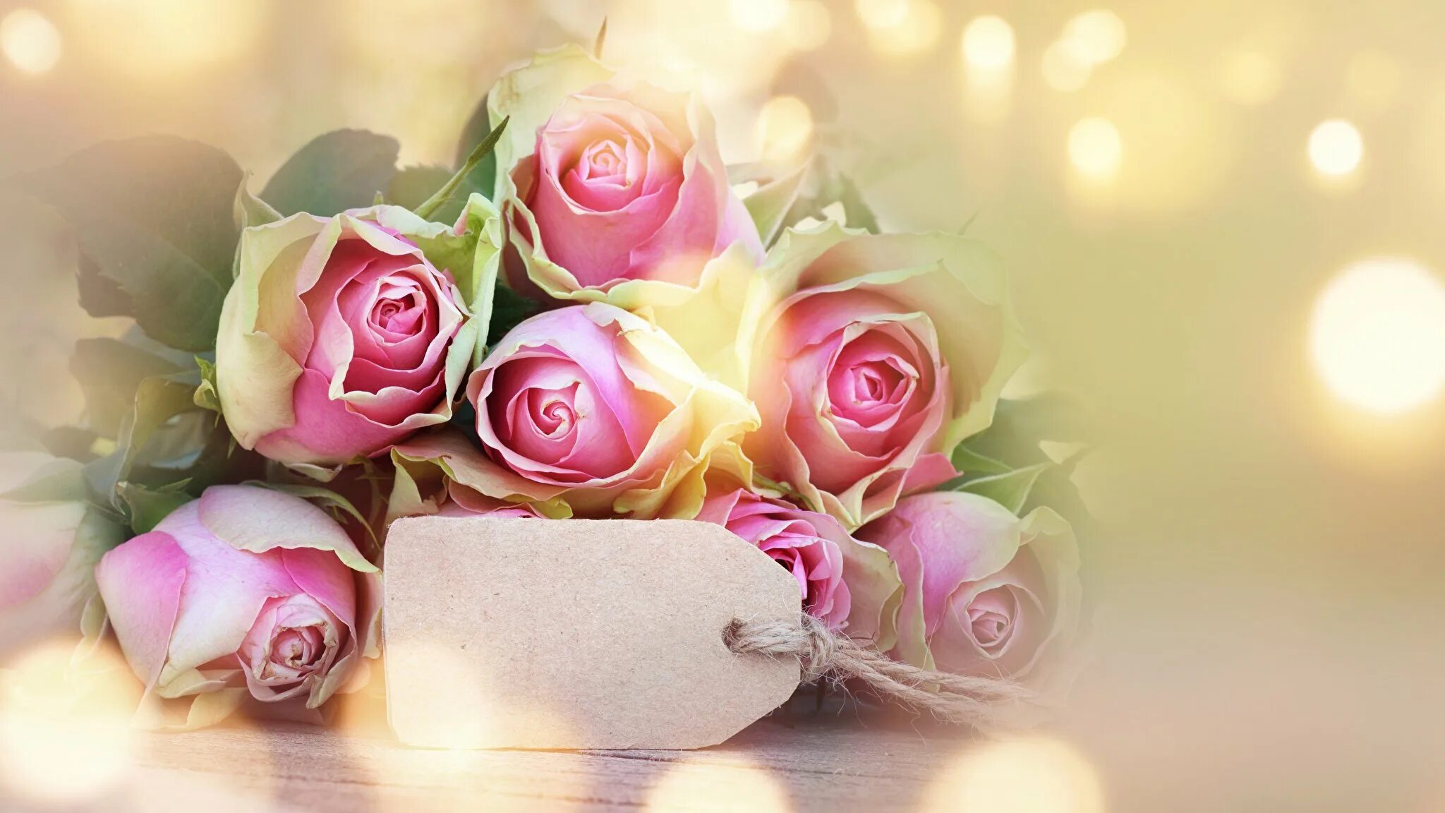 Цветы яркие нежные красивые. Фон для визитки цветочного магазина. Букет цветов на красивом фоне. Красивый букет фон. Фон для визитки с цветами.