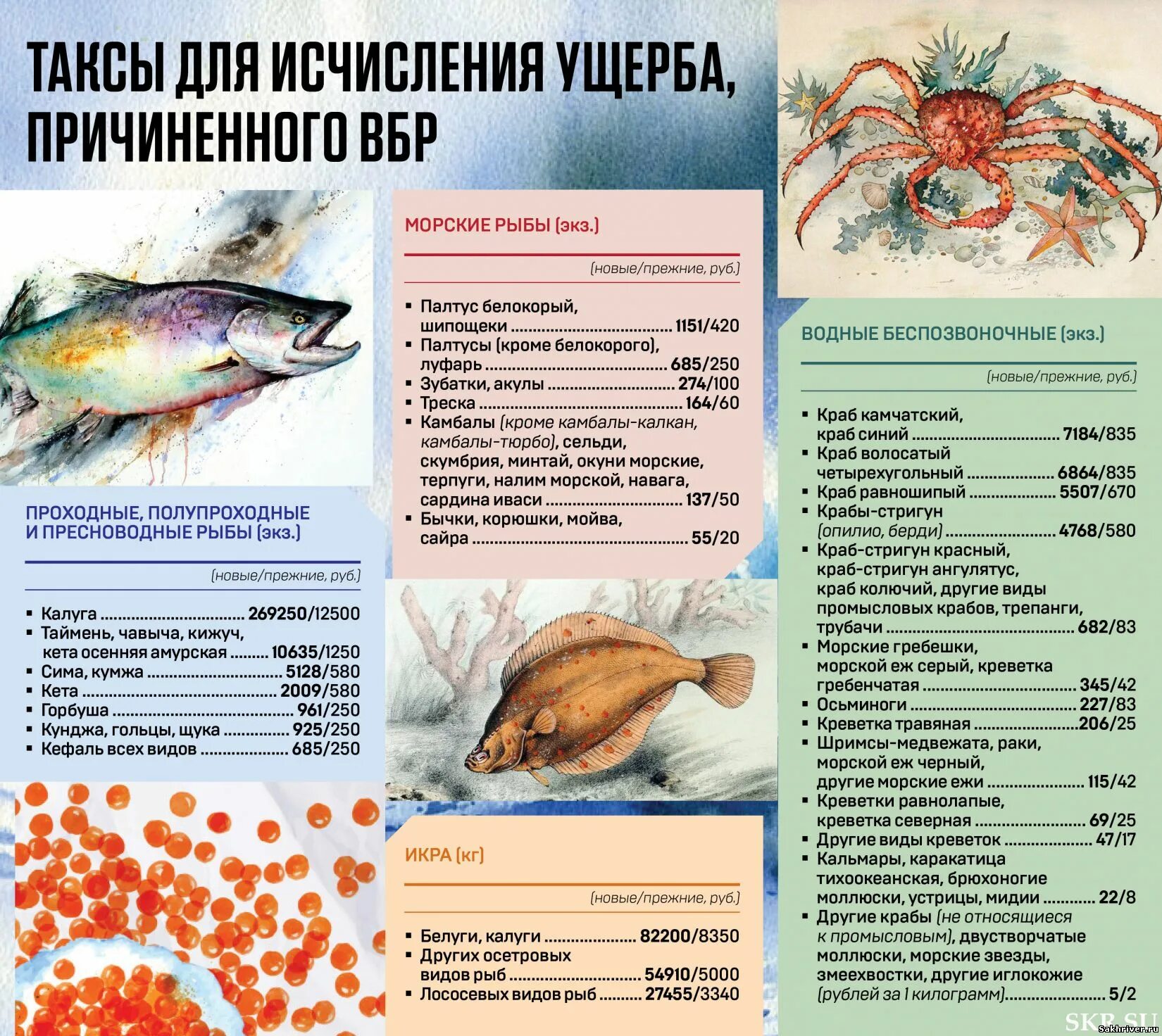 Расчет ущерба водным объектам. Размеры использования биологических ресурсов. Размеры использования биологических ресурсов. Размер вреда причиненного водным биологическим ресурсам. Оценка биологических ресурсов.