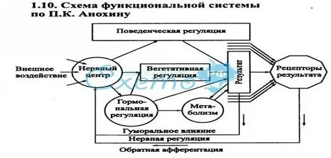 Схема классика