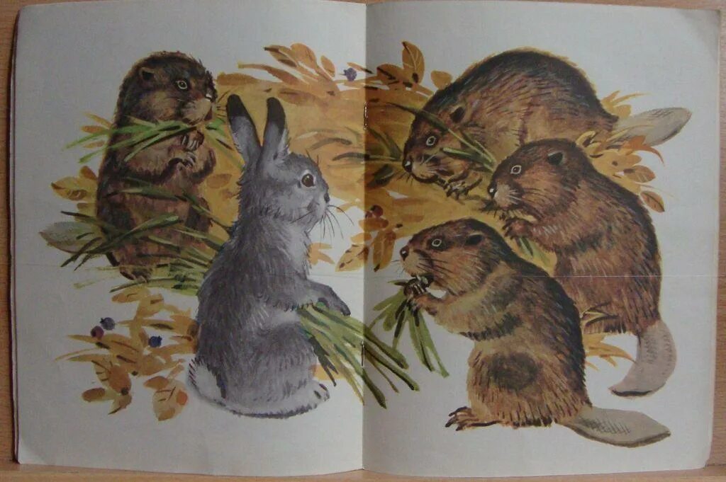 Жанр произведения листопадничек. Листопадничек соколов-микитов. соколова-микитова листопадничек. иллюстрацию ивана соколова микитов листопадничек.