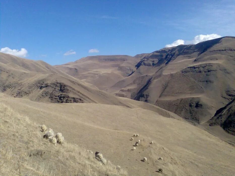 худиг агульский район. село тпиг дагестан. тпиг погода. тпиг агульский район в2000г. школа села тпиг.