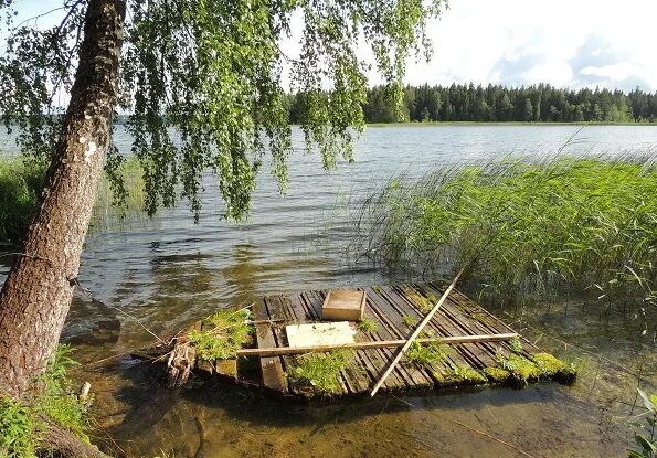 Включи маленький плот. Плот на пруду. На маленьком плоту фото. Мост и плот на небольшой речке. Фотографии лозы Юрия плот.