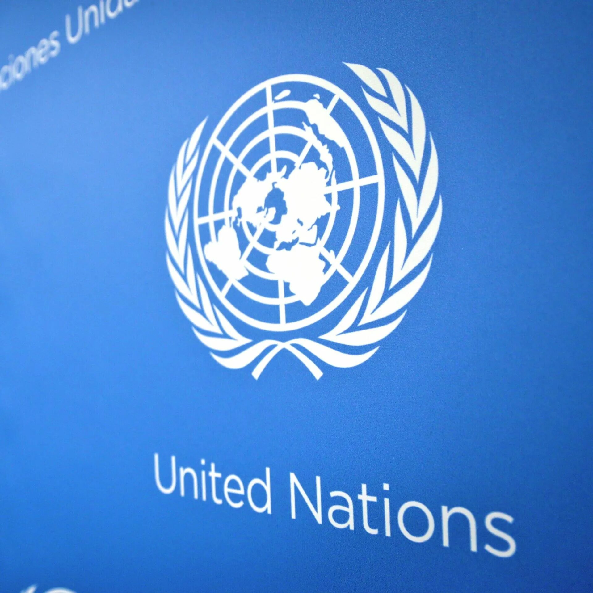 Эмблема ООН. Эмблема ООН фото. Совет безопасности ООН эмблема. Эмблема ООН Вена.