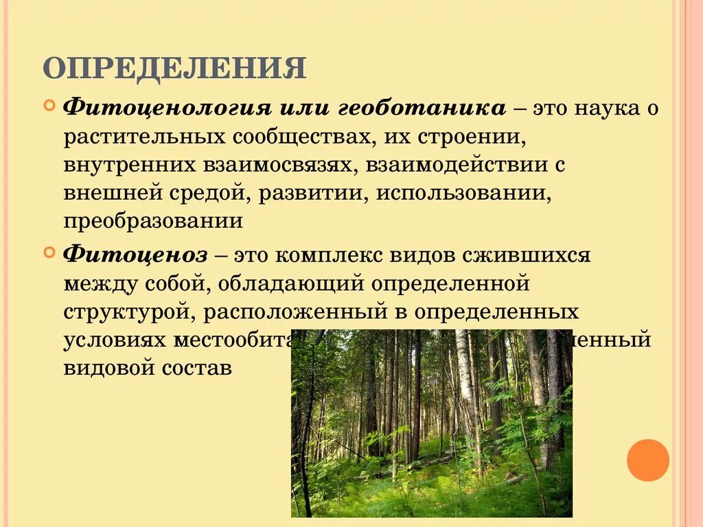 Геоботаника (фитоценология). Фитоценоз это кратко. Геоботаника это наука о. Фитоценоз растений.