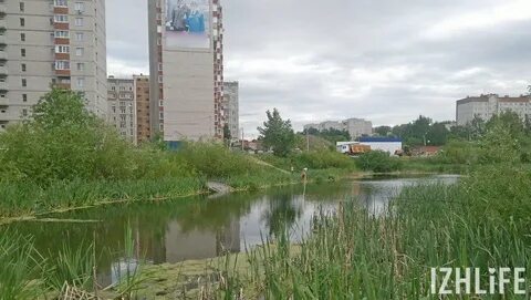 Ул автозаводская ижевск