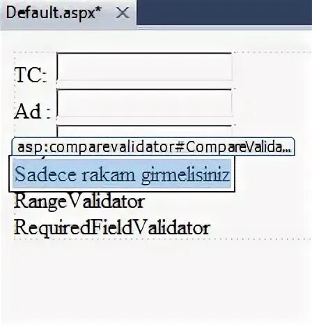 Asp net validation