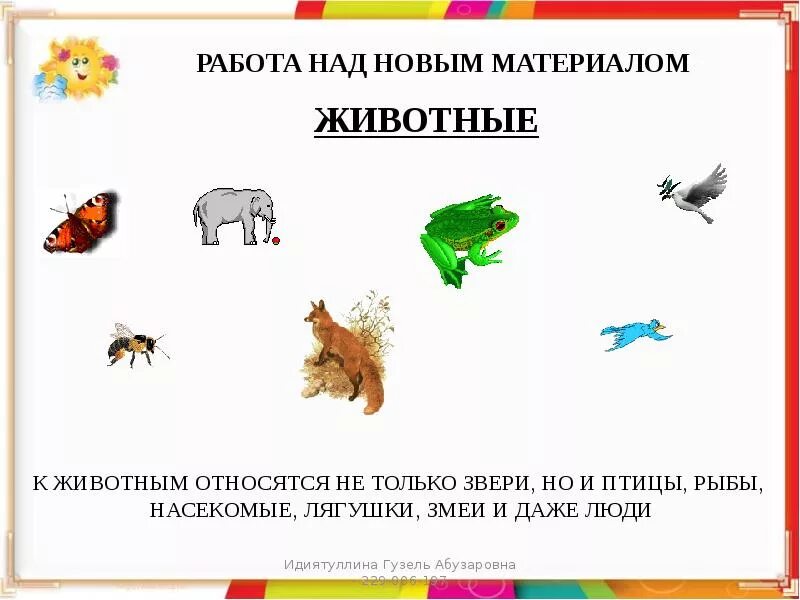 Животные это кто или что. Рассказ о чем питаются животные. Кто лишний домашние животные. Животное кто или что. Животные это кто или что.