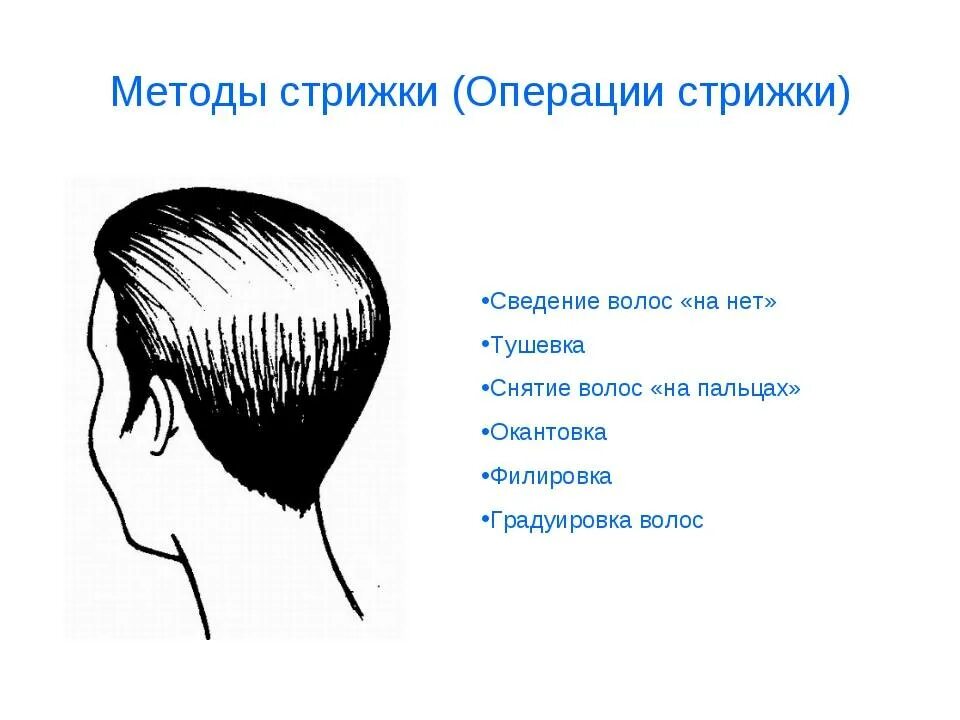 Как называется окантовка. Перечислите операции при выполнении стрижки. методы выполнения стрижки волос. методы выполнения стрижки. окантовка стрижки.