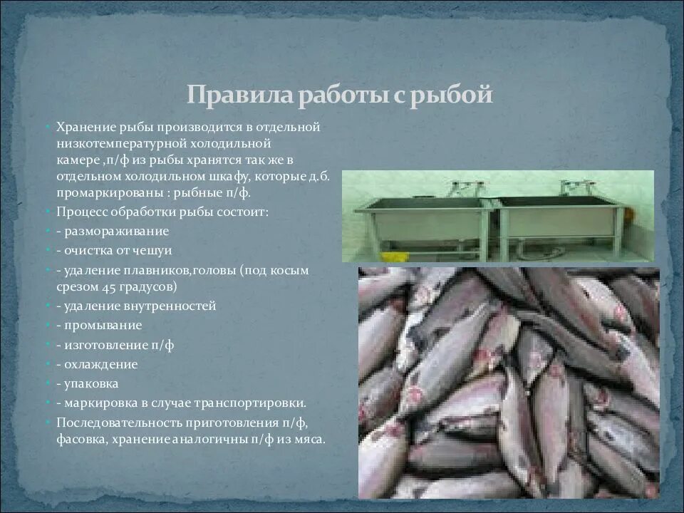 Обработка рыбы на предприятиях общественного. Инвентарь и оборудование рыб. инвентарь для полуфабрикатов из рыбы. оборудования используемые для приготовления полуфабрикатов из рыбы. инвентарь рыбного цеха.