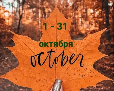 Октябрь месяц грусти и простуд