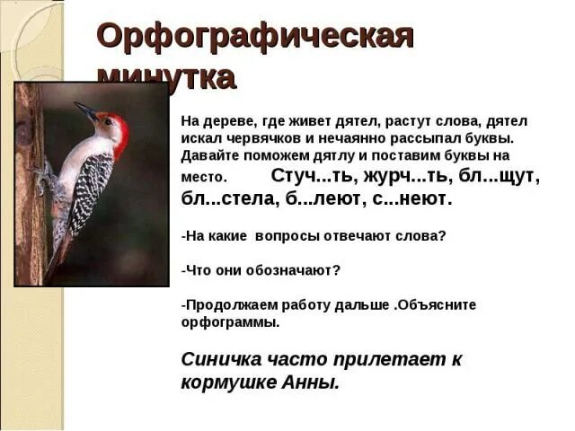 Дятел формы слова. Дятел формы слова. Дятел окружающий мир 1 класс. Ласточка питается мухами. Дятел синоним.